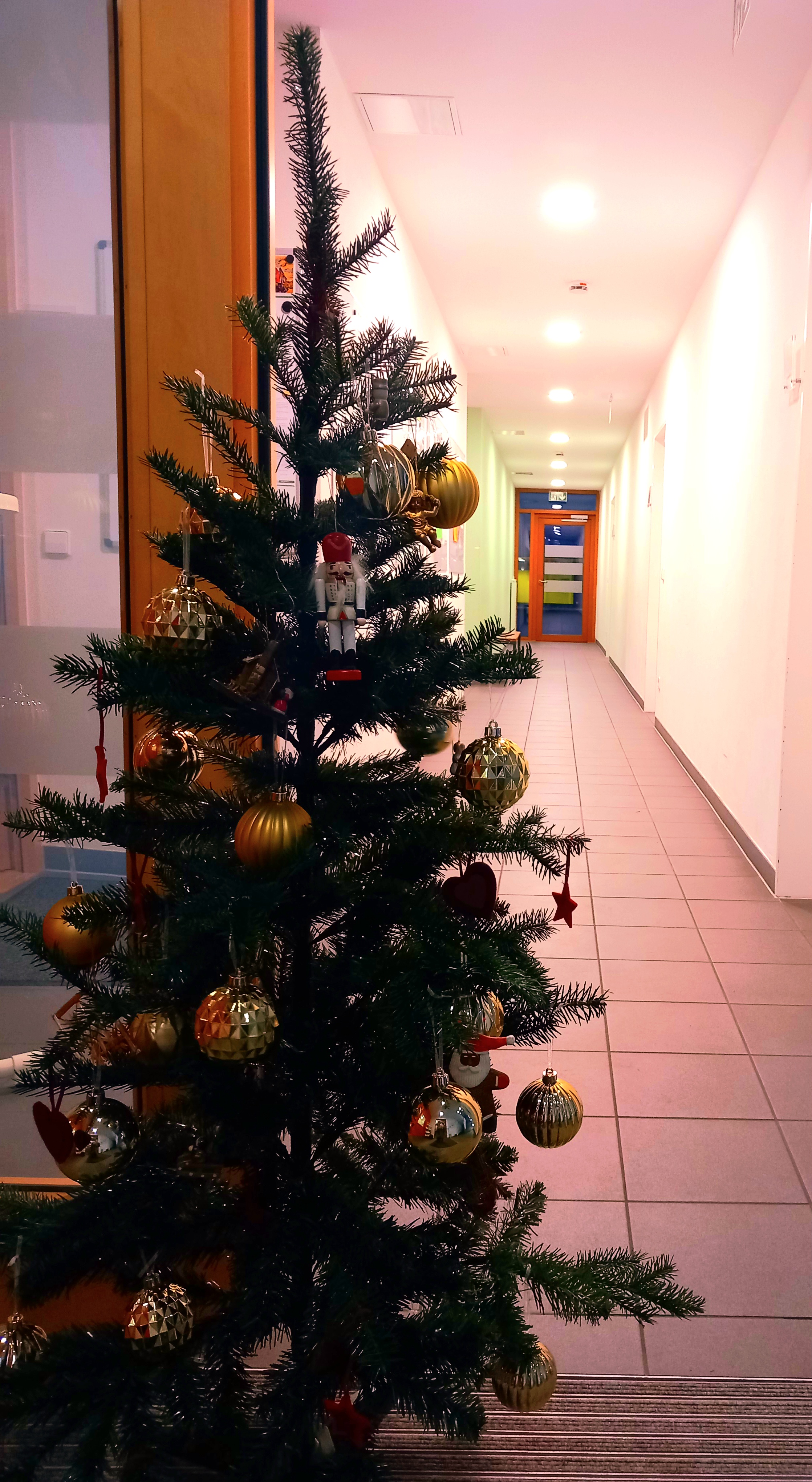 Weihnachtsbaum Fitness